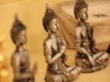 Tn IMG 2460